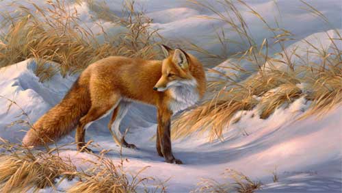 0010-fox