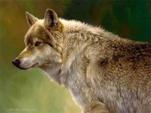 0011-wolf