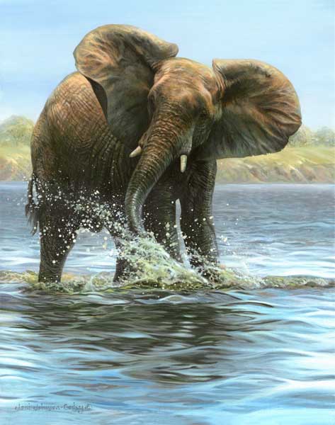 0025-Elephant