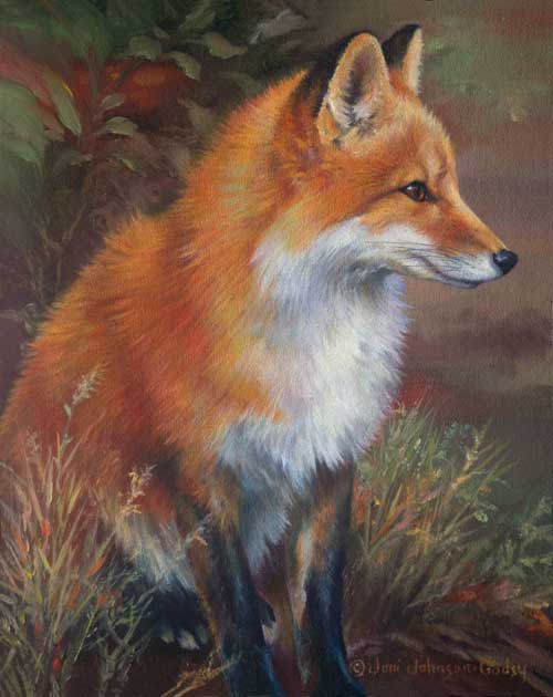0044-red-fox