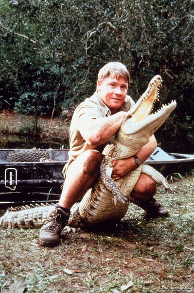 Стив Ирвин охотник за крокодилами