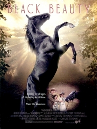 Top-23 Best Films About Horses