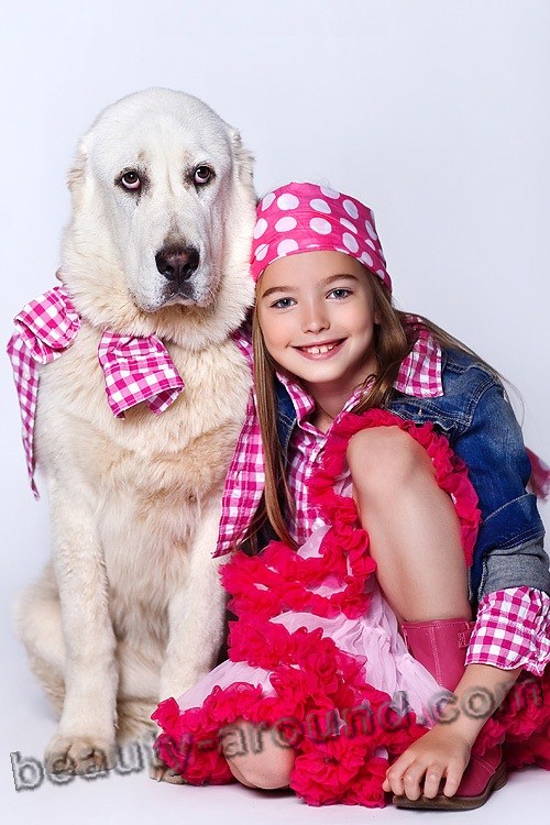 Анастасия Безрукова / Anastasia Bezrukova самая красивая девочка модель , биография, фото с собакой