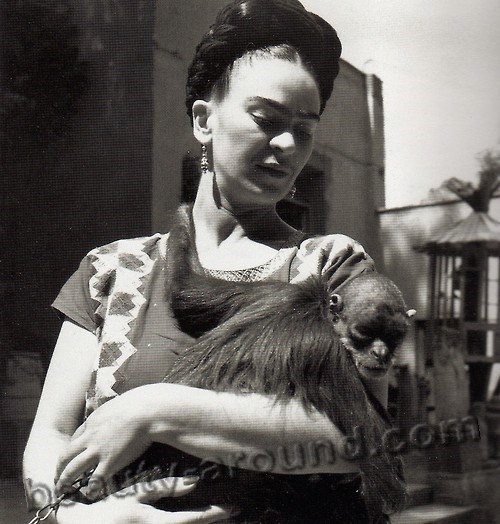 Фрида Кало с любимой обезьянкой фото