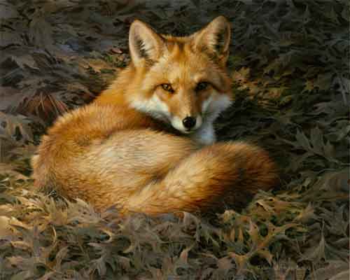 0015-fox