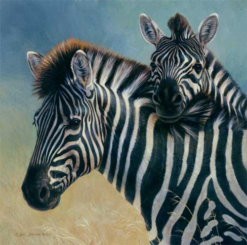 0020-Zebras