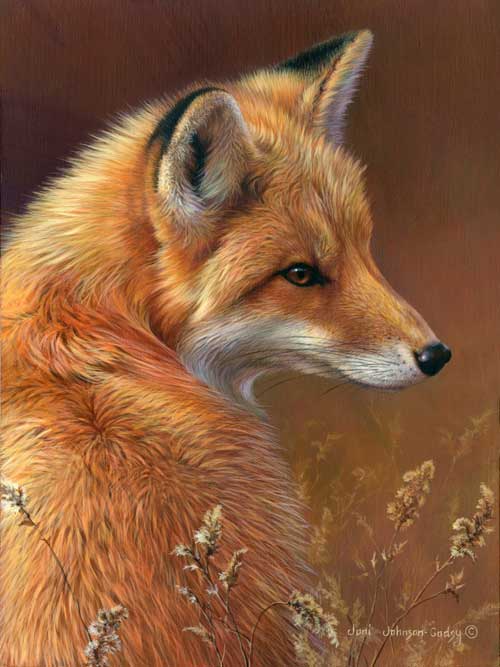 0051-red-fox
