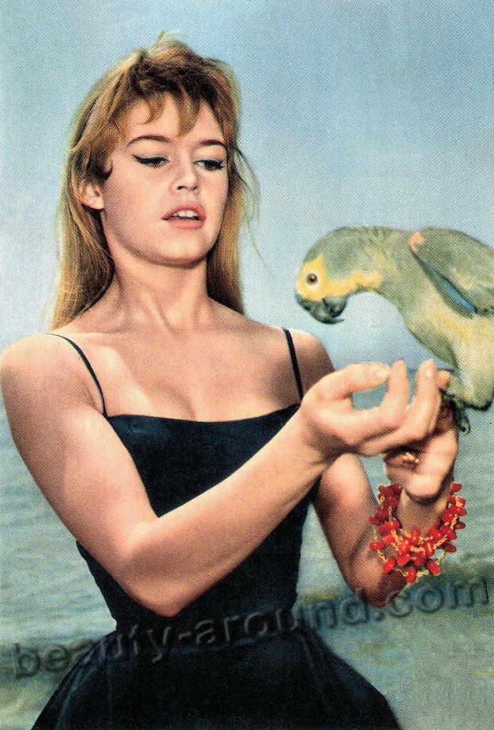 Brigitte Bardot Pin-up girls photo