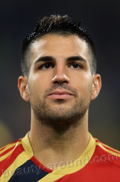 Handsome Male Athletes Francesc Cesc Fabregas i Soler