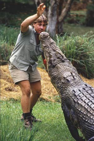 Стивен Ирвин охотник за крокодилами