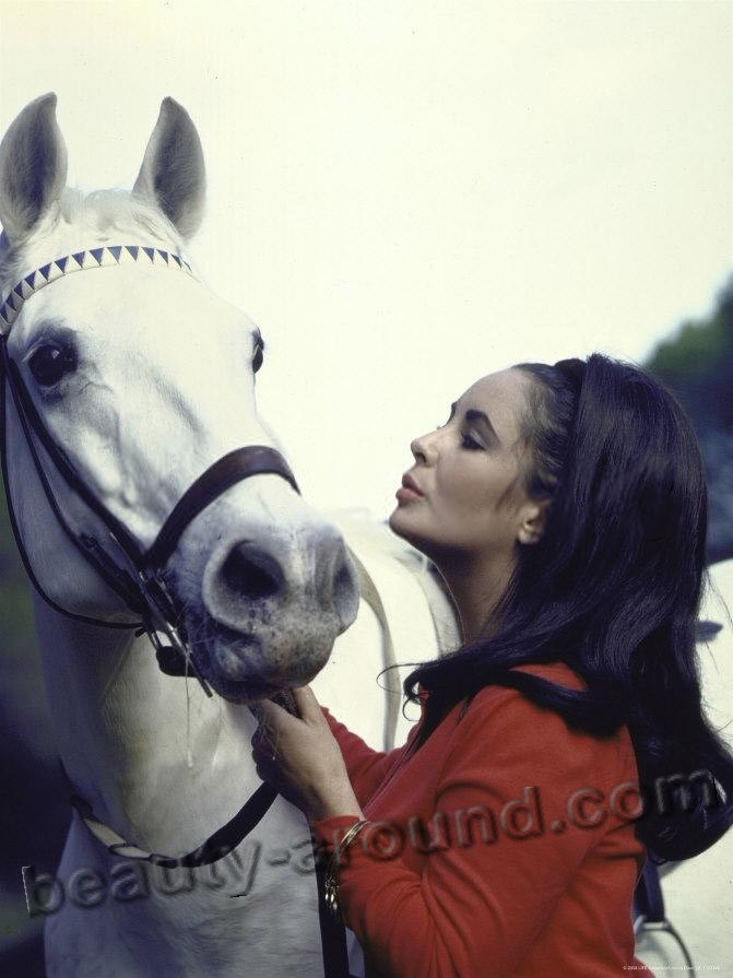 фото Элизабет Тейлор / Elizabeth Taylor с лошадью, кадры из фильма