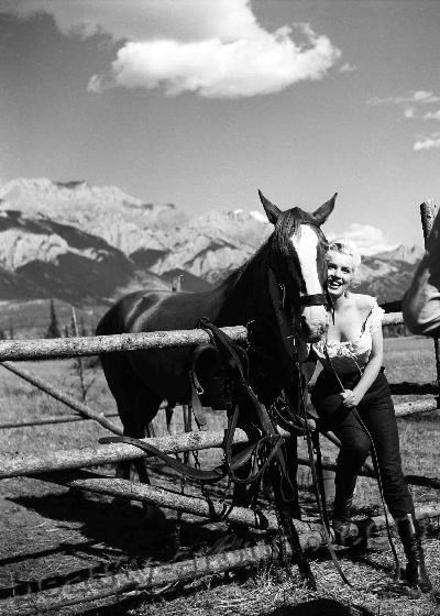 Marilyn Monroe with horse photos