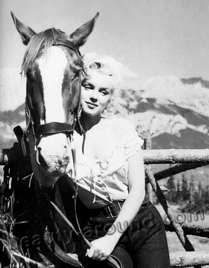 Marilyn Monroe near horse photos