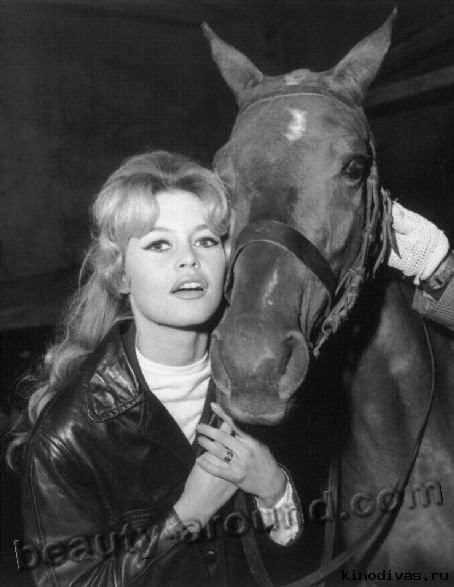 Brigitte Bardot with horse photo