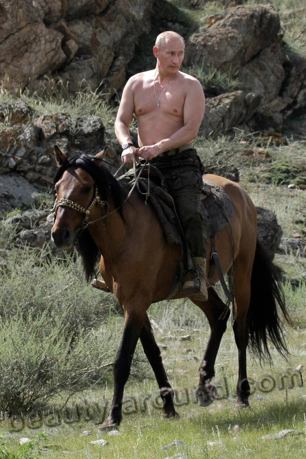 Russian President Vladimir Putin with horse photo